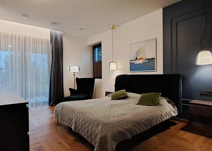 别墅 White House In 维尔纽斯